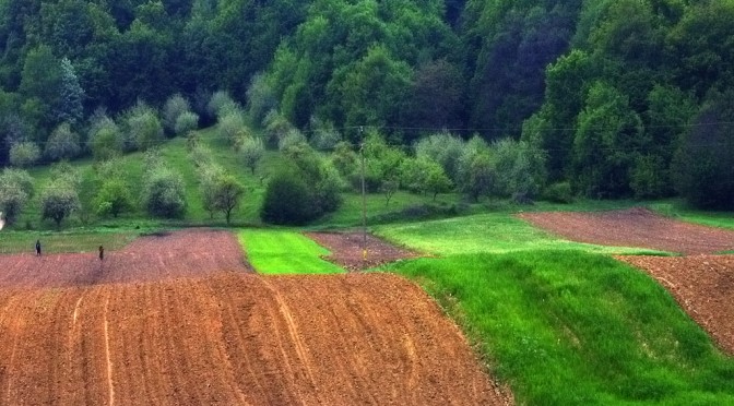 land work rural landscape